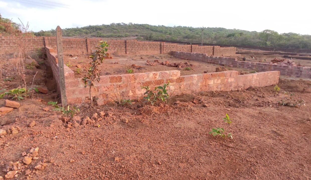 PHOTO-2025-01-11-19-42-50