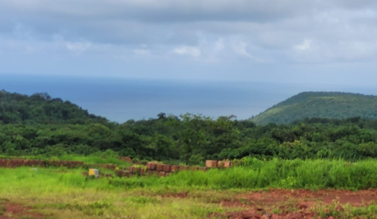 PHOTO-2025-01-11-19-42-50(1)